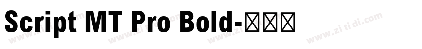Script MT Pro Bold字体转换